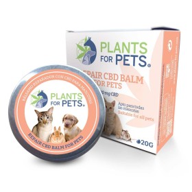 Baume CBD 1% apaisant animaux | Pawell
