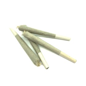 Lot de 50 infusticks pré-roulés de CBD - AMNESIA HAZE