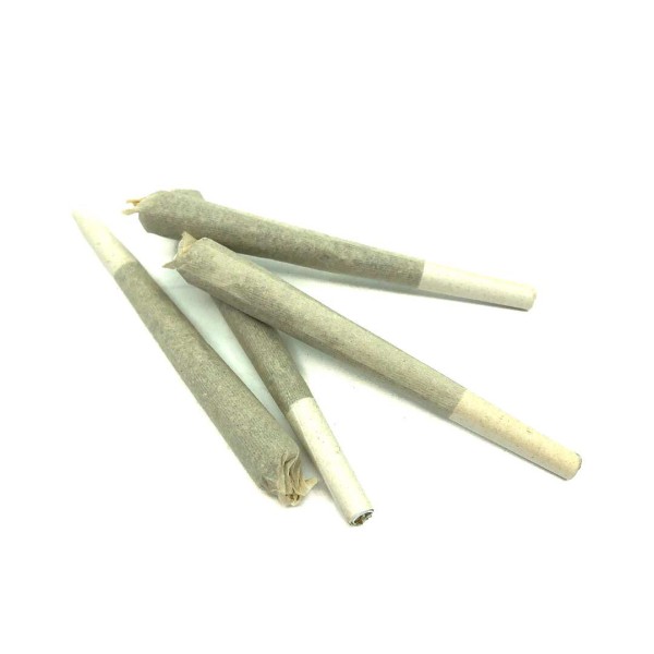 Lot de 50 infusticks pré-roulés de CBD - AMNESIA HAZE