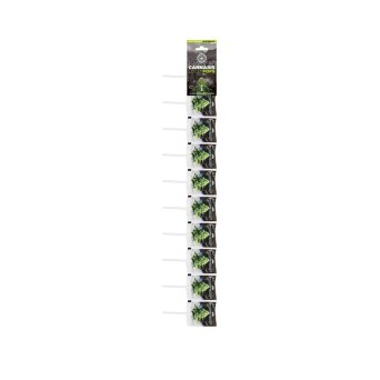 Sucette CBD space x 100 | MULTITRANCE
