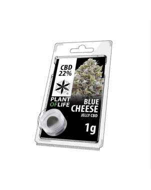 Résine CBD Blue Cheese | PLANT OF LIFE