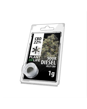 Résine CBD Sour Diesel | PLANT OF LIFE