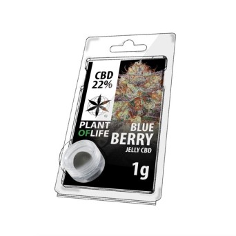 Résine CBD Blueberry | PLANT OF LIFE
