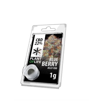 Résine CBD Blueberry | PLANT OF LIFE