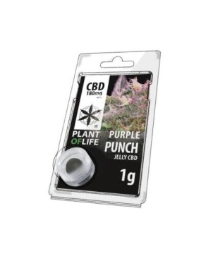Résine CBD Purple Punch | PLANT OF LIFE