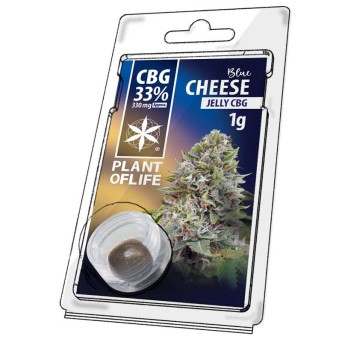 Résine CBG Blue Cheese | PLANT OF LIFE