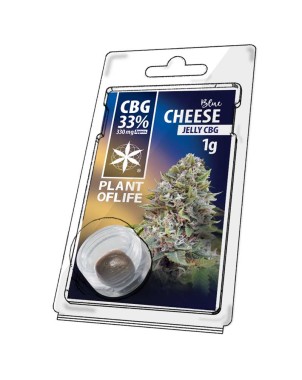 Résine CBG Blue Cheese | PLANT OF LIFE
