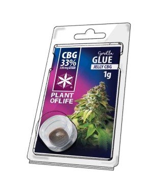 Résine CBG Gorilla Glue | PLANT OF LIFE