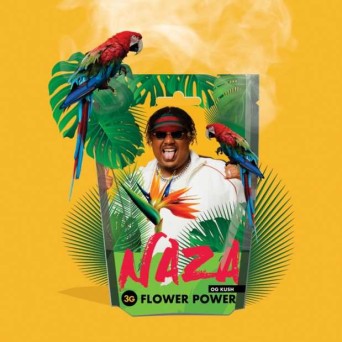 Fleur de CBD - OG KUSH | NAZA