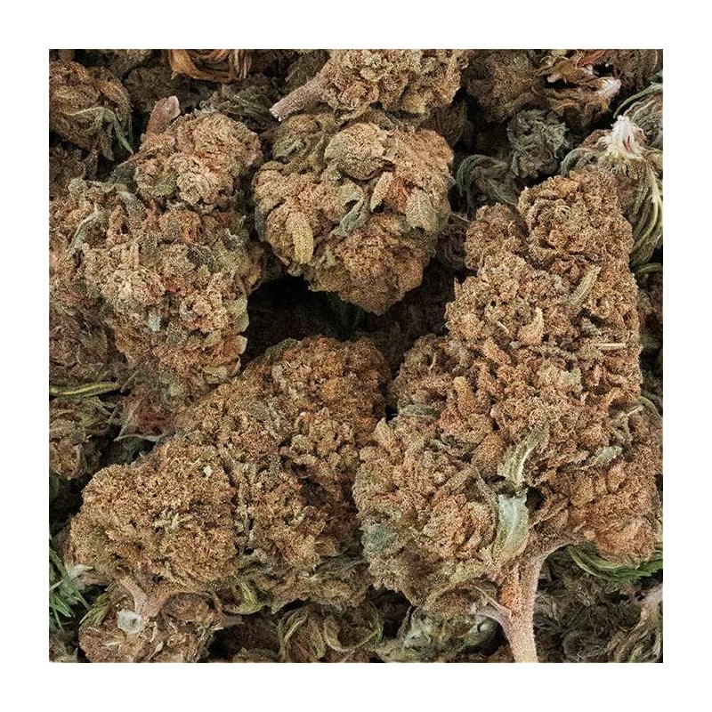 Fleur de CBD - TONIC KUSH