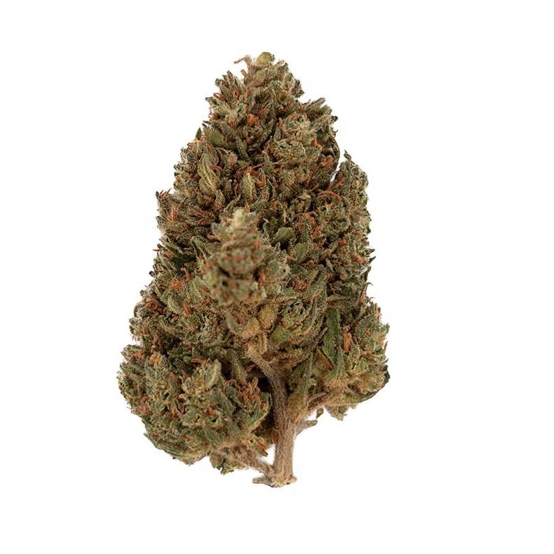 Fleur de CBD - AMNESIA HAZE