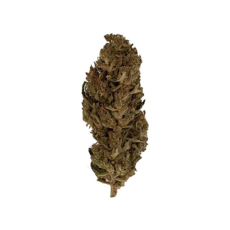 Fleur de CBD - LEMON HAZE