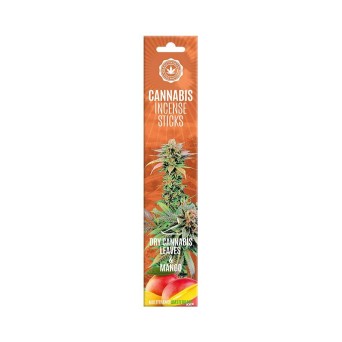 Bâtons d'encens Dry Cannabis Mango | Multitrance