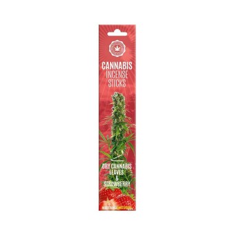 Bâtons d'encens Dry Cannabis Strawberry | Multitrance