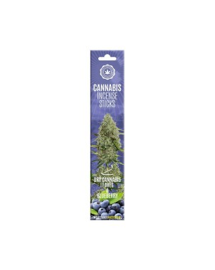 Bâtons d'encens Dry Cannabis Blueberry | Multitrance