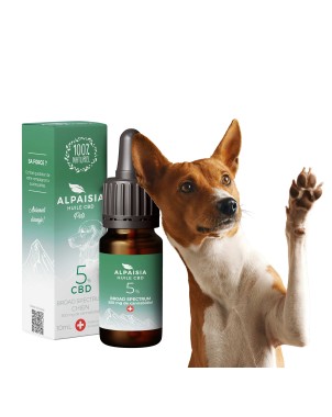 Huile CBD 5% broad spectrum chien | Alpaisia