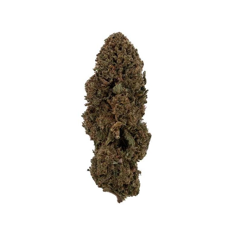 Fleur de CBD - WHITE DAWG