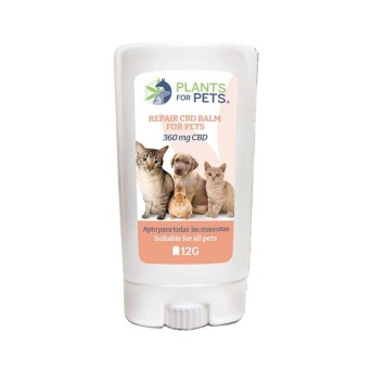Baume CBD 1% apaisant animaux | Pawell