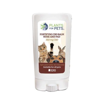 Baume CBD 1% apaisant animaux | Pawell