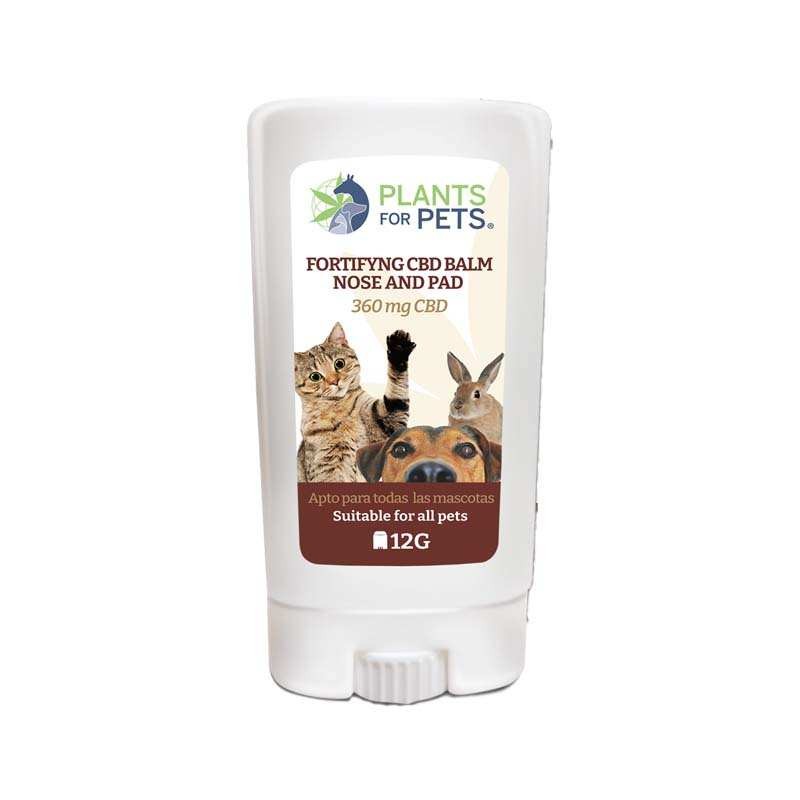 Baume CBD fortifiant animaux | Plants for Pets