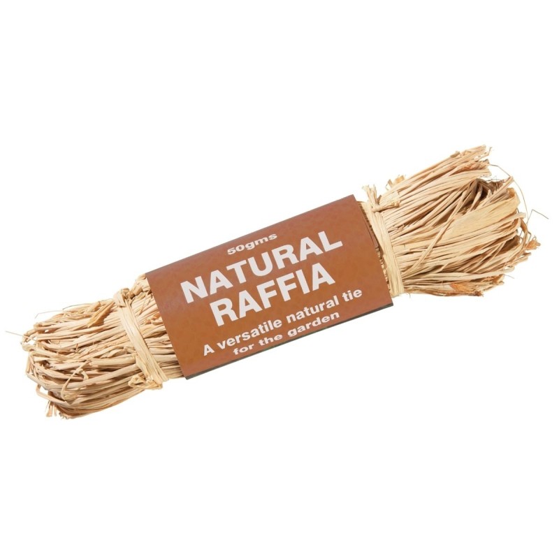 50g de raphia naturel 50g de raphia naturel