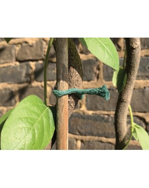 Lien Torsadé Jute Vert 5m