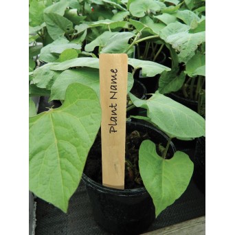 Étiquettes pour plantes en bois de 13 cm