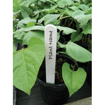 Étiquettes Blanches pour Plantes 20cm lot de 20