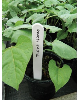 Étiquettes Blanches pour Plantes 15cm lot de 50