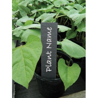 2 plis de ficelle de jute verte 50g