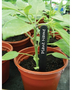 Étiquettes pour Plantes Noires 15cm lot de 50