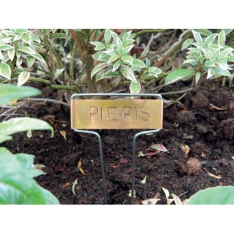 18 Pots de remplacement de 9 cm sur plateau