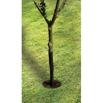 Protège-arbre en spirale 61cm