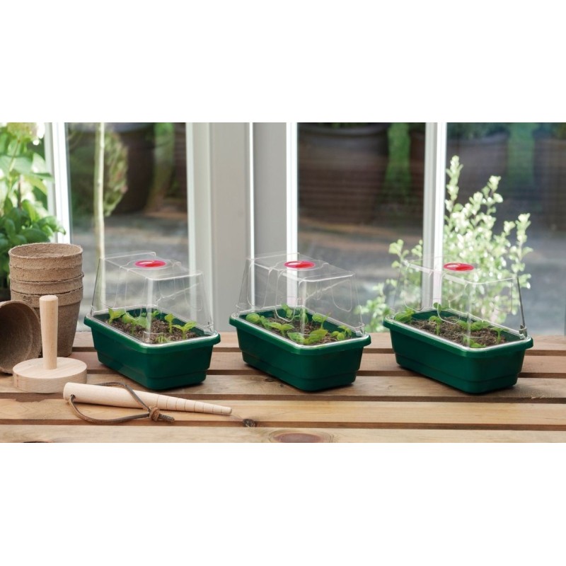 Lot de 3 Mini serres propagator High Dome