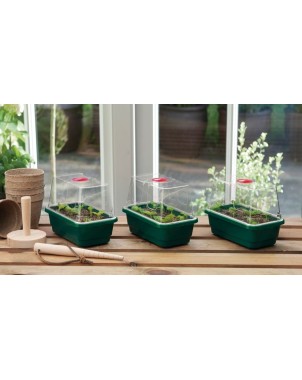 Lot de 3 Mini serres propagator High Dome