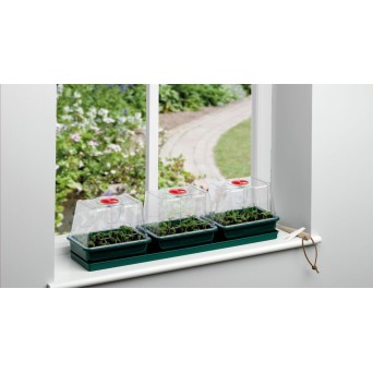 Mini serre Propagator