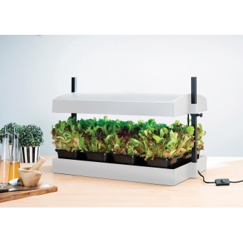 30 m de fil de jardin 2 mm recouvert de plastique