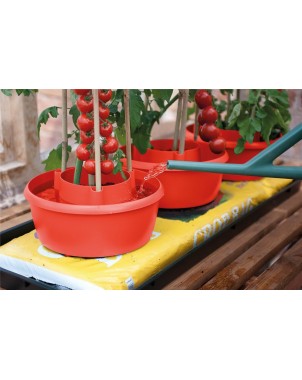Halos de Plantes (Ensemble de 3) Rouge