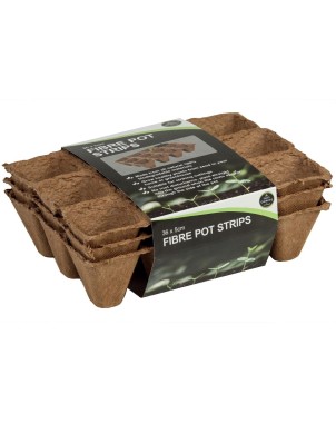 Pack de 36 pots fibre biodégradables 5 cm