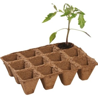 Pack de 36 pots fibre biodégradables 5 cm