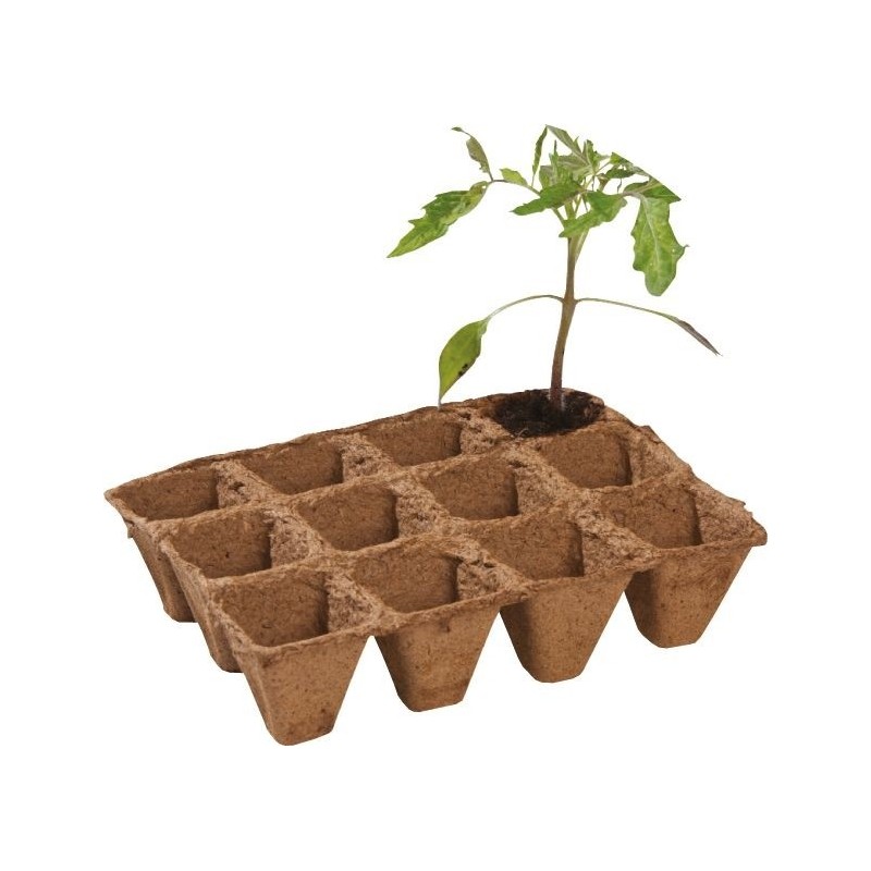 Pack de 36 pots fibre biodégradables 5 cm