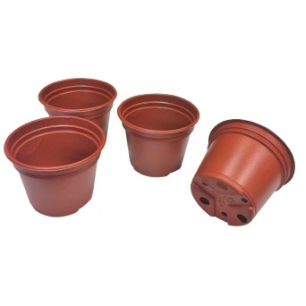 Cbd-Gardens | Jardinage