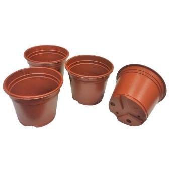 Cbd-Gardens | Jardinage