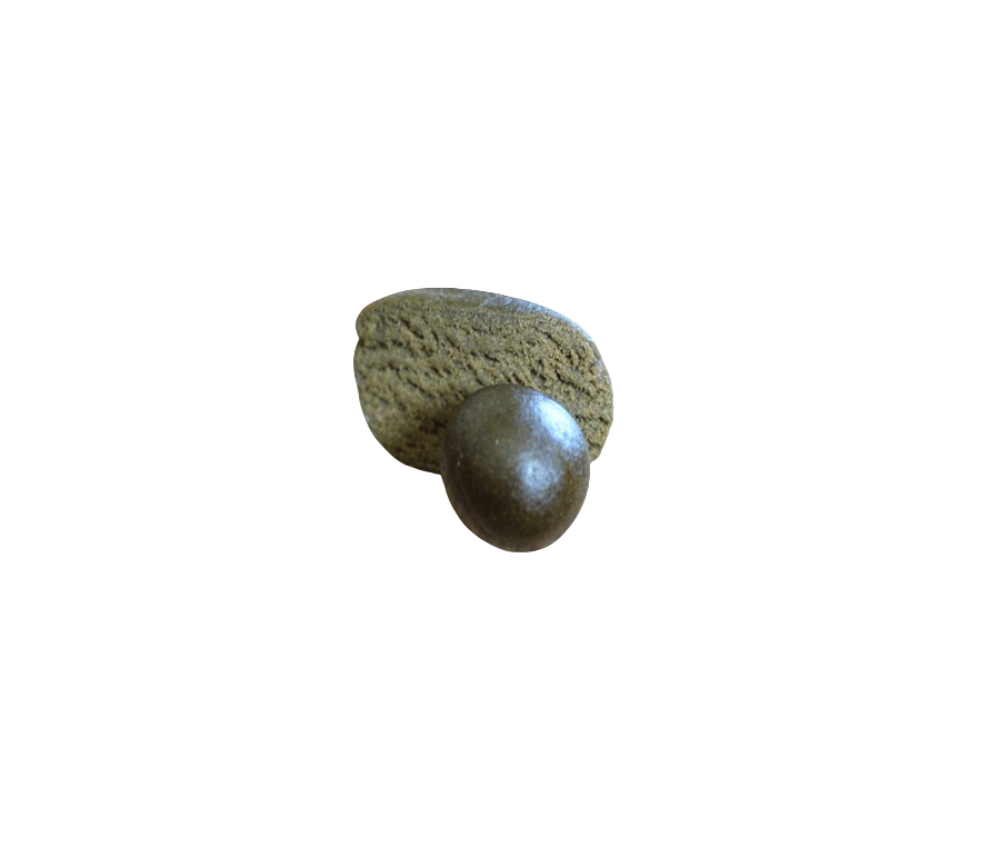 Résine CBD OLIVETTE