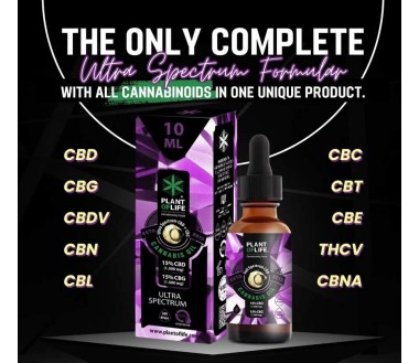 Huile CBD 10% full spectrum | ALPAISIA L'ORIGINAL