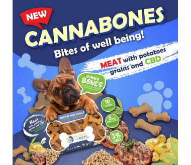 Friandise au CBD chien| PLANTS FOR PETS