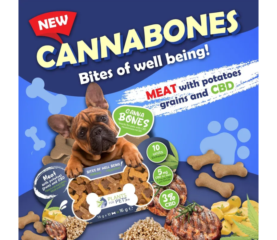 Friandise au CBD chien| PLANTS FOR PETS Friandise au CBD chien| PLANTS FOR PETS