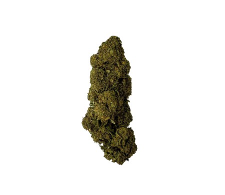 Fleur de CBD - CHARLOTTE'S WEB