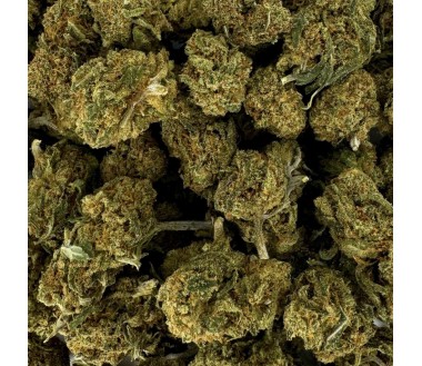Small Bud Berries CBD Premium