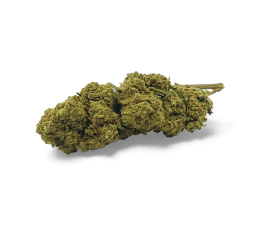 Fleur de CBD Harlequin Indoor Premium